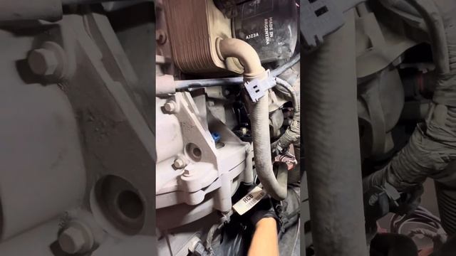 Puesta a punto Ford Fiesta kinetic motor sigma 1.6 16v (herramienta especial) смотреть онлайн
