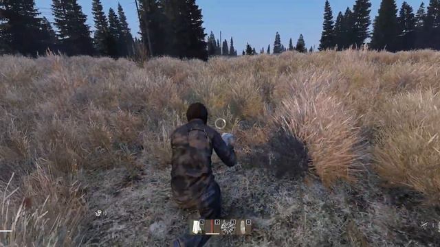 DayZ l The Revenger 4K 60FPS смотреть онлайн