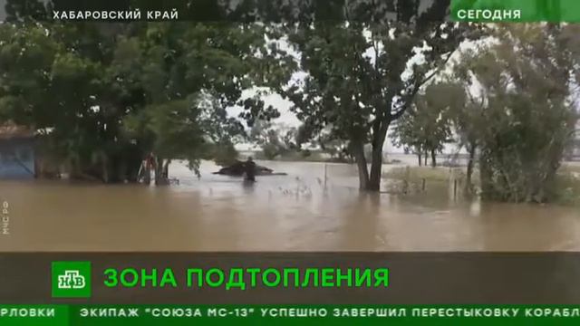 Амур пришел в дома под Хабаровском затоплены десятки населенных пунктов смотреть онлайн