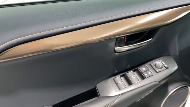 2020 LEXUS NX 300 Black Line Edition - Review Of Features And Full Walk Around