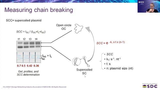 SDC2021: Storing Data over Millennia. Long term Room Temperature Storage of DNA. смотреть онлайн