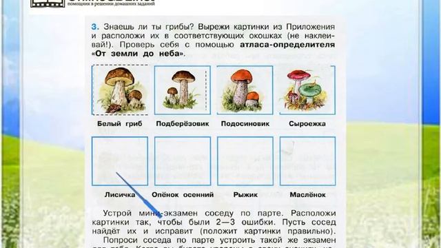 Задание 3 Жизнь леса - Окружающий мир 4 класс (Плешаков А.А.) 1 часть смотреть онлайн