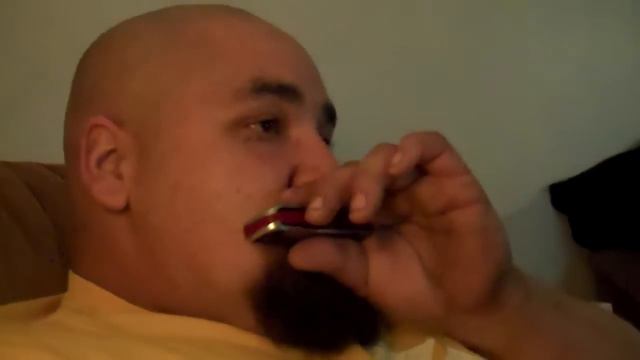 g harmonica n my big bald head смотреть онлайн