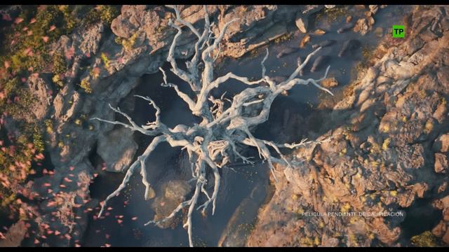 Mufasa_-_El_Rey_Leon_Trailer_Oficial_en_espanol_20_de_diciembre_solo_en_cines смотреть онлайн