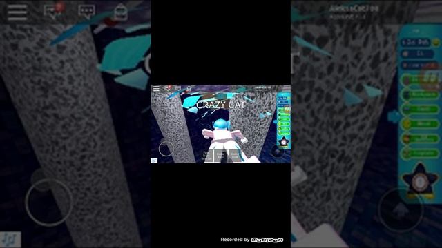 Играем в роблокс!!//CRAZY CAT смотреть онлайн