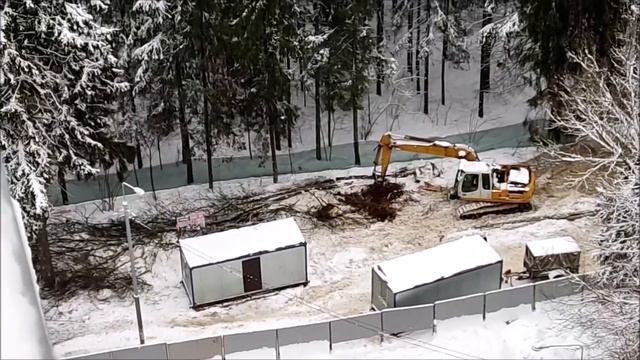 В Троицке началась вырубка леса #Троицк смотреть онлайн