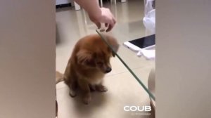 Забавные кубики. Подборка приколов. Vo58