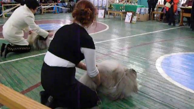 СравнениеКобелей смотреть онлайн