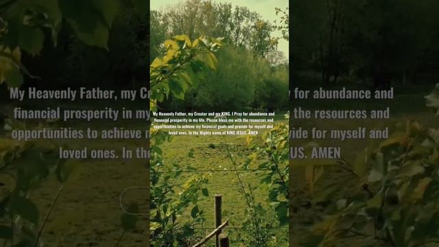 Prayer for Financial Breakthrough#Prayer#breakthrough#God смотреть онлайн