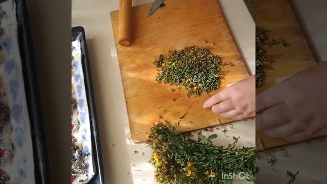 Зверобойное масло. Часть 1-ая.