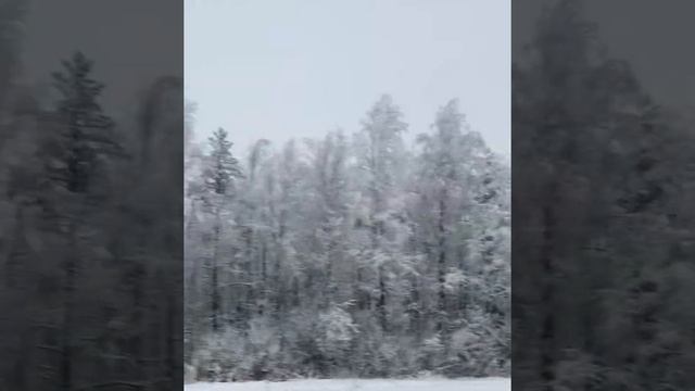 Владимир Молчанов «Море» смотреть онлайн