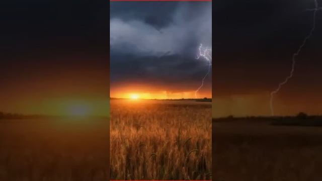 Звенит рассвет... Стихи для души смотреть онлайн