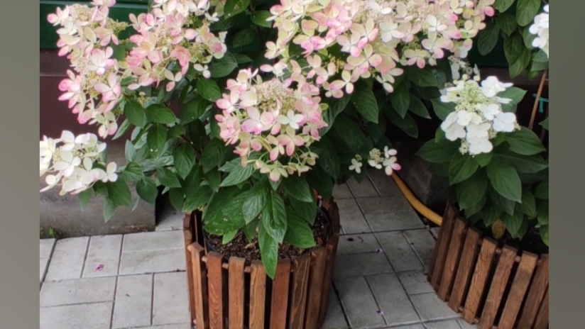 Как сделать 'заборчик' для контейнеров.