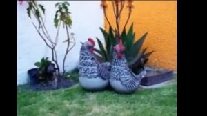 Различные поделки из цемента для украшения садового участка