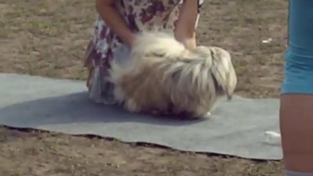 David описание смотреть онлайн