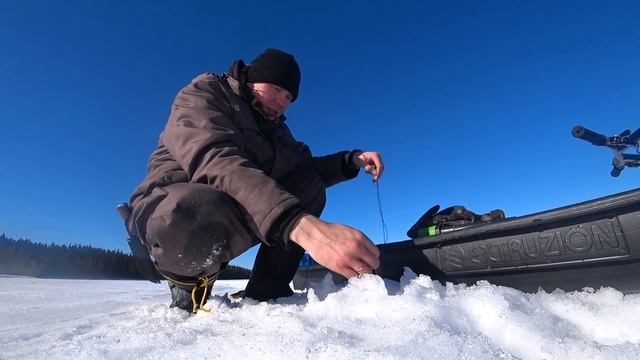 МНОГО ЩУКИ! ВЕСЕННЯЯ РЫБАЛКА НА ФЛАЖКИ #рыбалка2022