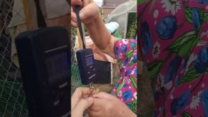 На каком корме лучше выращивать мулардов #муларды #комбикорм