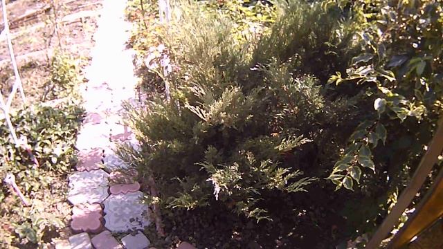 Осенние заботы в саду и огороде смотреть онлайн