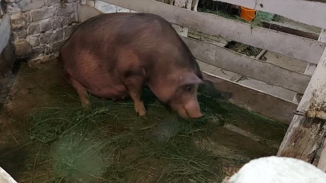 Нужно брать ответственность!!!! смотреть онлайн