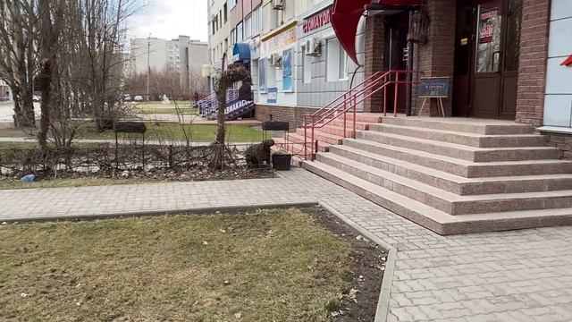 Плетеное место. смотреть онлайн