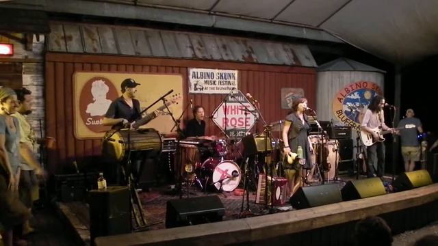 The Ragbirds at Albino Skunk 2013 -- смотреть онлайн