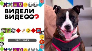 Видели видео? Выпуск от 26.11.2023