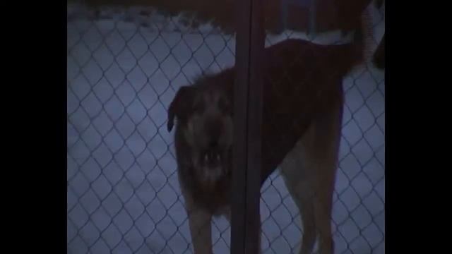 Фольксваген T 3 Мой Бус # 2(не заводится) bigDron TV/// смотреть онлайн