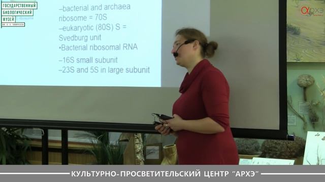 Мария Летарова: "Строение бактериальной клетки" смотреть онлайн