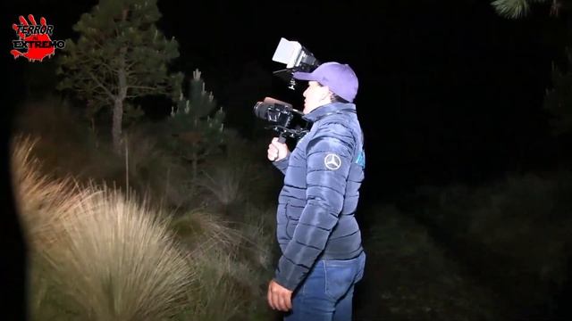 "Brujas y seres elementales en el bosque" смотреть онлайн