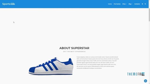 Wiz - The Smart Multi-Purpose WordPress Theme Greyson Shichirou смотреть онлайн