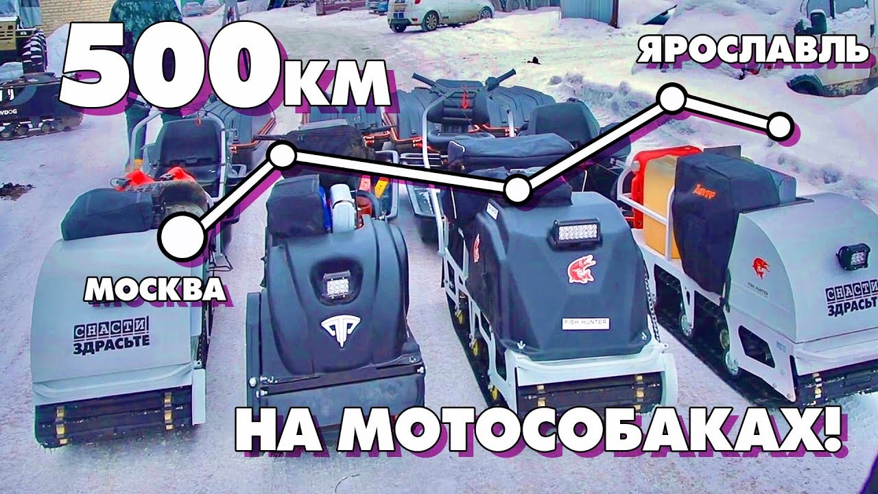 500км на МОТОСОБАКАХ! Из Москвы в Ярославль с ПРИКЛЮЧЕНИЯМИ! смотреть онлайн
