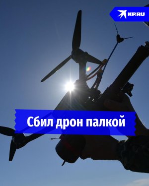 Боец сбил дрон палкой