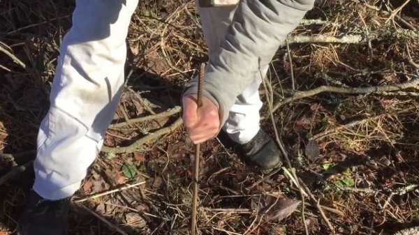 Как найти родник