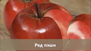 Новинки августа-2018: лук-шалот Банановый деликатес, красномясые и колоновидные яблони