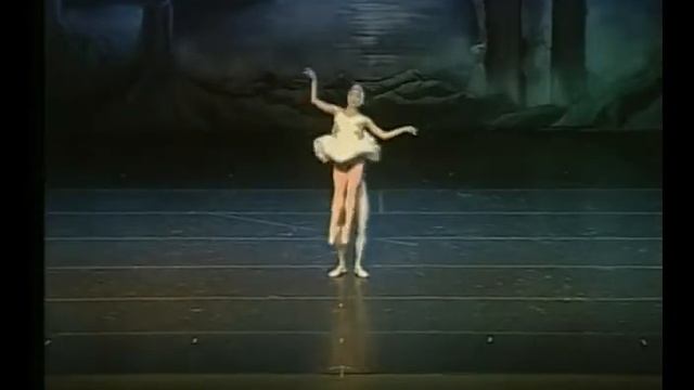 Barbara Garcia & Elier Bourzac - Swan Lake Adagio. смотреть онлайн