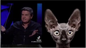 Осенью - всё. Две-три недели, и всё. Потому что мины. И равнина! Средне-русская.  И украинский анали