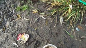 Ловля на китайскую сетку с кормушкой