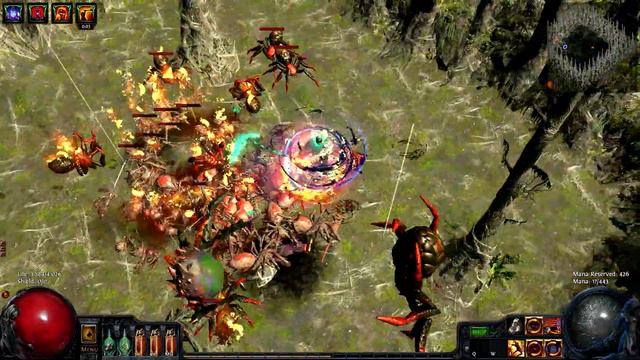 [1.3.1] Path Of Exile - Cyclone Marauder - Jungle Valley Two Unique Bosses, no potions used смотреть онлайн