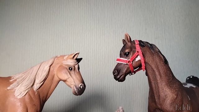 Лошадки schleich играют в правду или действие// Поцелуй моделей? 😯 смотреть онлайн