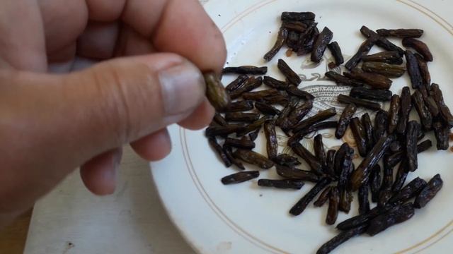 Веганские Ресторанчики и Кафе