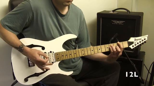 WGS Retro 30 Vs WGS 12L