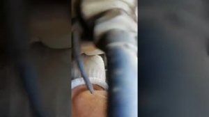 #ваз 2106 натяжка цепи грм.