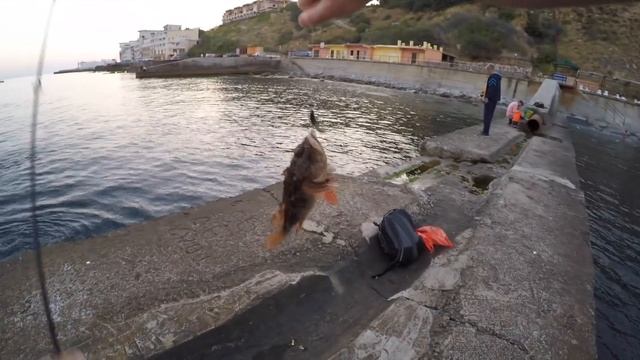 Рокфишинг на Черном море. Ловля ставриды, скорпены, горбыля в Крыму. Rockfishing in Black Sea. смотреть онлайн