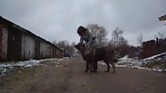 Сормовская Заря Важный Вельможа 10 мес. смотреть онлайн