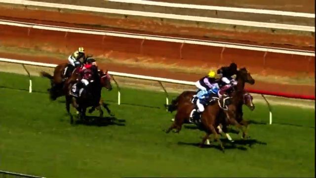 30/10/2021 - Race 2 - BARDI ORGANIC BEEF HANDICAP смотреть онлайн