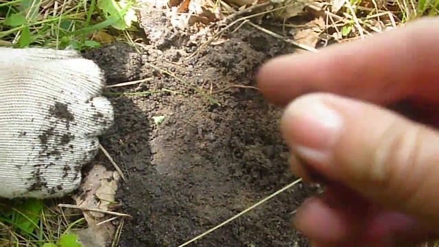 Коп Первый день отпуска!