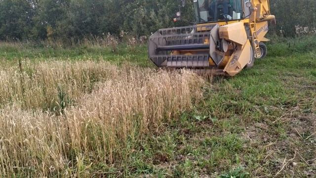 Первый выезд зерноуборочного комбайна Terrion 2010 на опытное поле ЯРОСЛАВСКОЙ ГСХА, уборка. смотреть онлайн