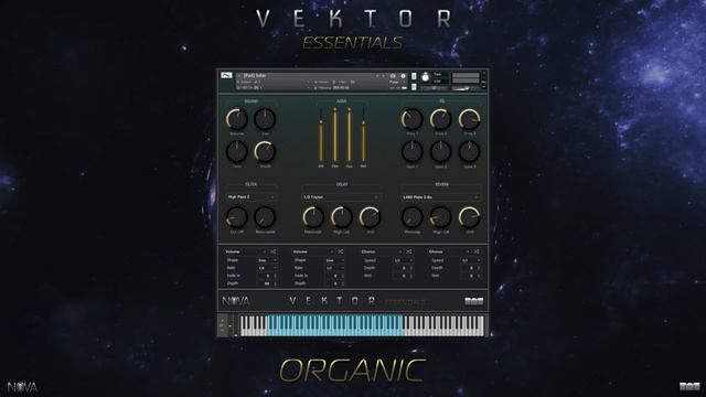 Vektor Essentials // Kontakt // Demo Showcase смотреть онлайн