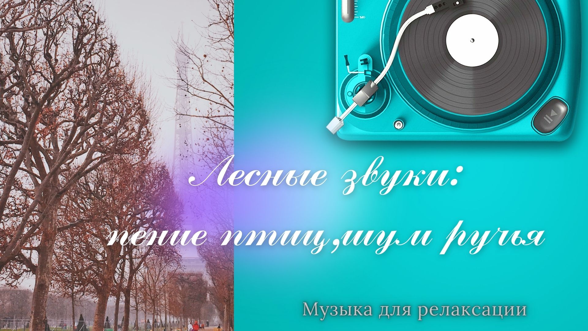 Лесные звуки: пение птиц, шум ручья