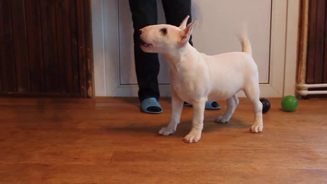 MVI 4863 смотреть онлайн